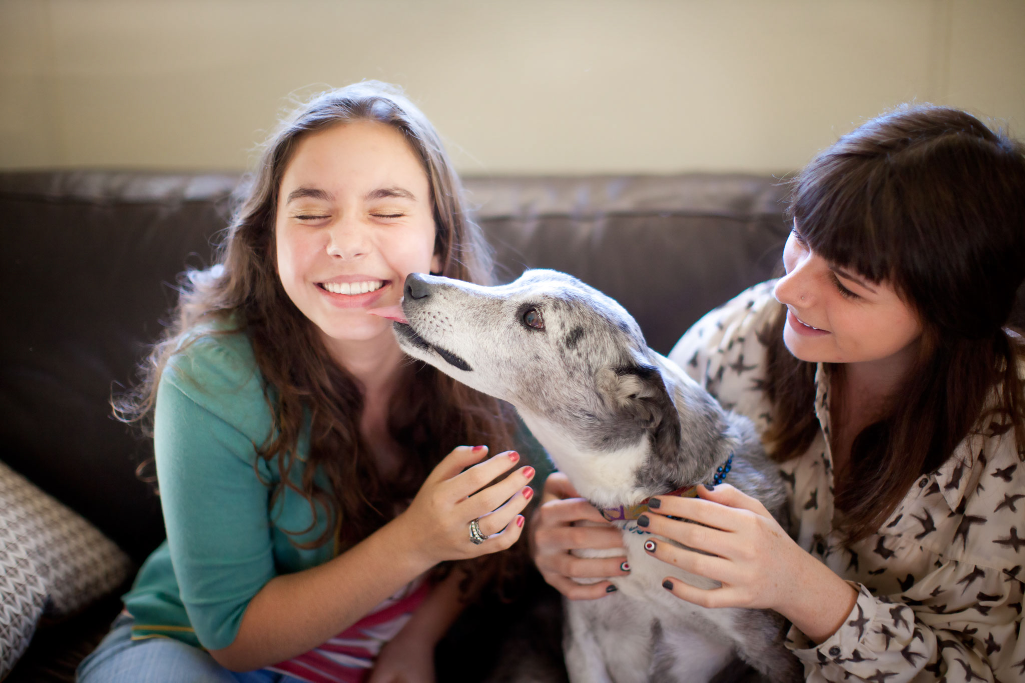 Two teenage girls play with a puppy